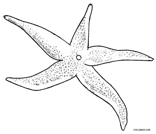 Dibujo de Estrella de Mar para colorear - Páginas para imprimir gratis Dibujo de Estrella de Mar para colorear - Páginas para imprimir gratis