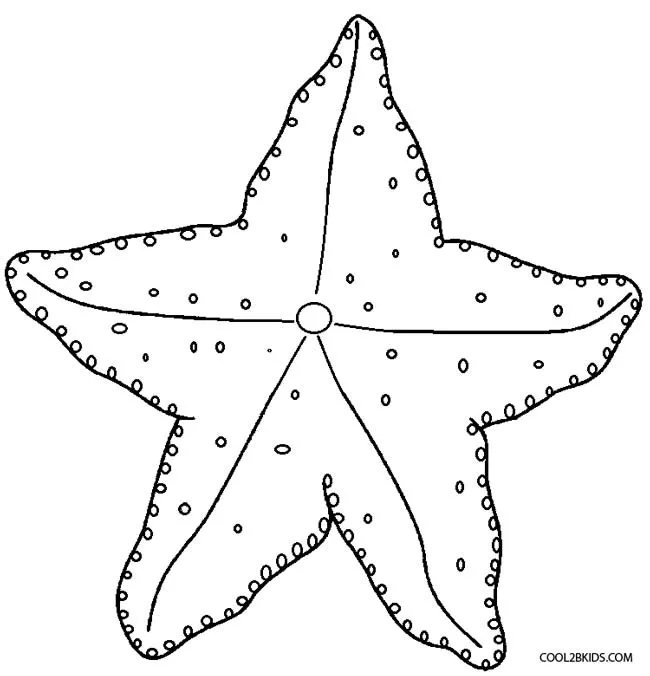 Dibujo de Estrella de Mar para colorear - Páginas para imprimir gratis