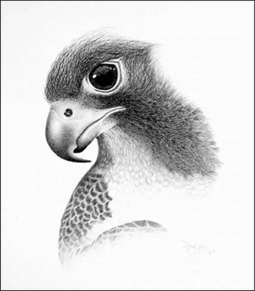 Dibujo faciles a lapiz - Imagui