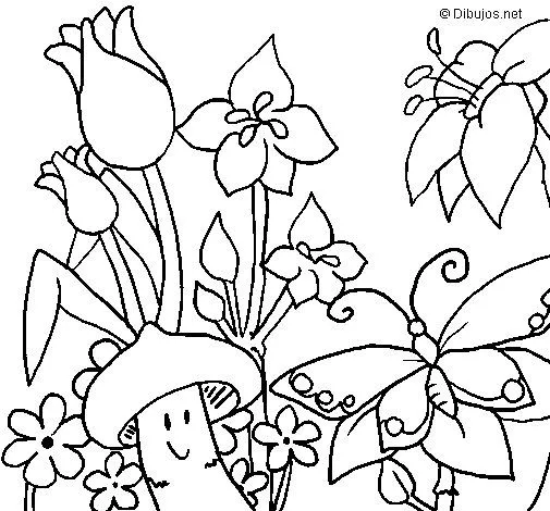 Dibujo de Fauna y flora para Colorear - Dibujos.net