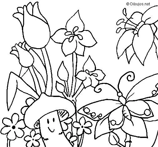 Dibujo de Fauna y flora para Colorear - Dibujos.net Dibujo de Fauna y flora para Colorear - Dibujos.net