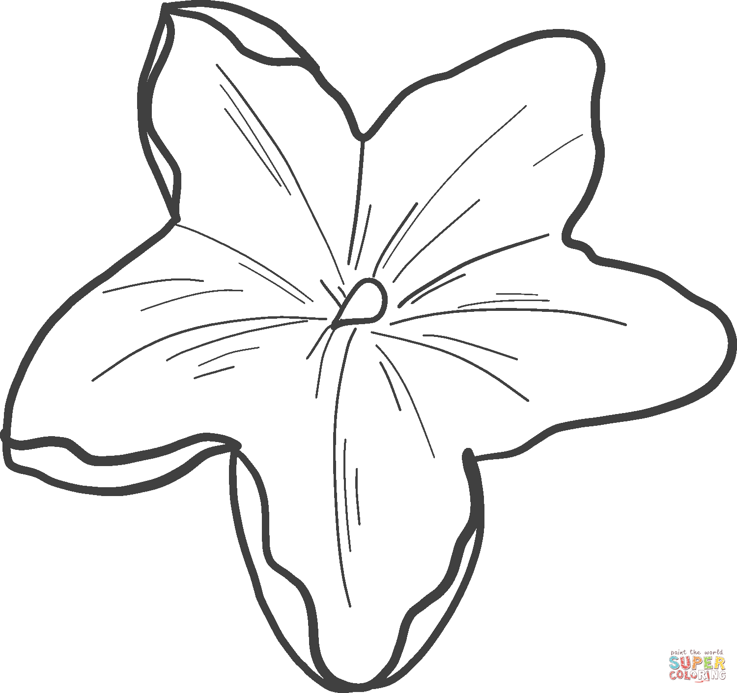 Dibujo de flor de calabaza para colorear | Dibujos para colorear imprimir  gratis