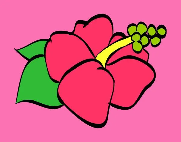 Dibujo de flor hawaiana pintado por Ladylazo en Dibujos.net el día ... Dibujo de flor hawaiana pintado por Ladylazo en Dibujos.net el día ...