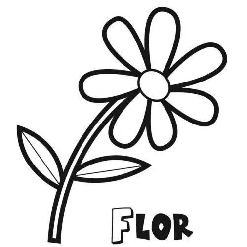 La plantas y sus partes dibujos para colorear - Imagui La plantas y sus partes dibujos para colorear - Imagui