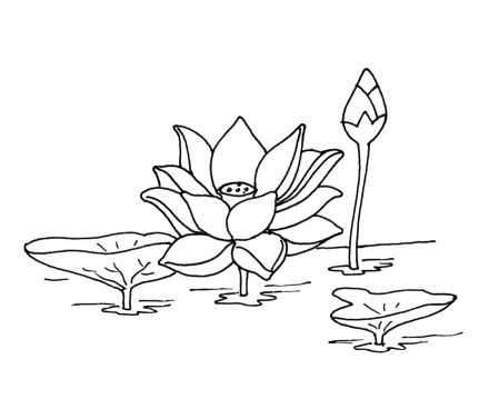 Dibujo de Flor de Loto. Dibujo infantil para colorear de Flor de ...