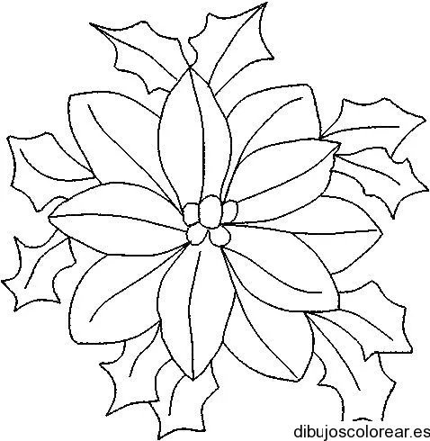 Flor de pascua para colorear - Imagui