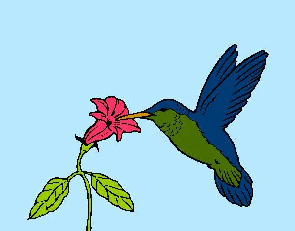 Dibujo de flor en picaflor pintado por Laila5433 en Dibujos.net el ... Dibujo de flor en picaflor pintado por Laila5433 en Dibujos.net el ...