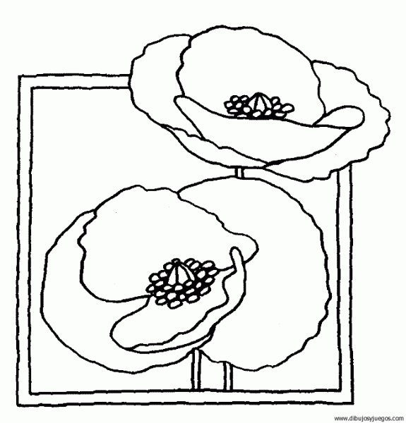 dibujo-flores-amapolas-009 | Dibujos y juegos, para pintar y colorear dibujo-flores-amapolas-009 | Dibujos y juegos, para pintar y colorear