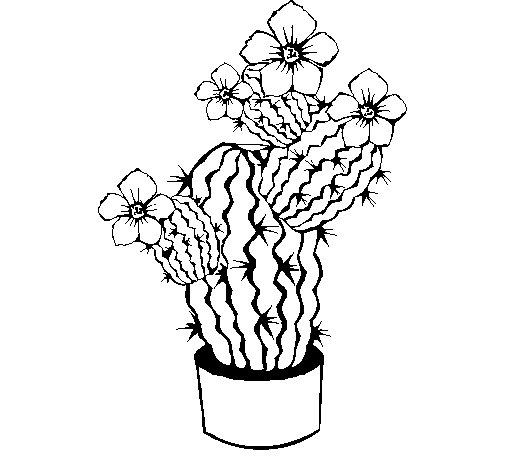 Dibujo de Flores de cactus para Colorear - Dibujos.net Dibujo de Flores de cactus para Colorear - Dibujos.net