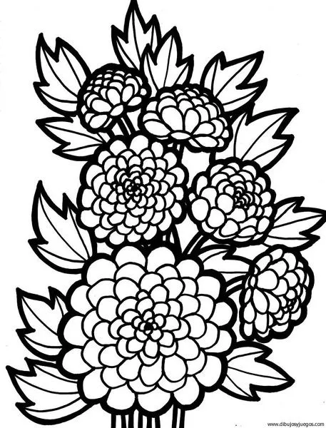 dibujo-flores-claveles-003 | Dibujos y juegos, para pintar y colorear dibujo-flores-claveles-003 | Dibujos y juegos, para pintar y colorear
