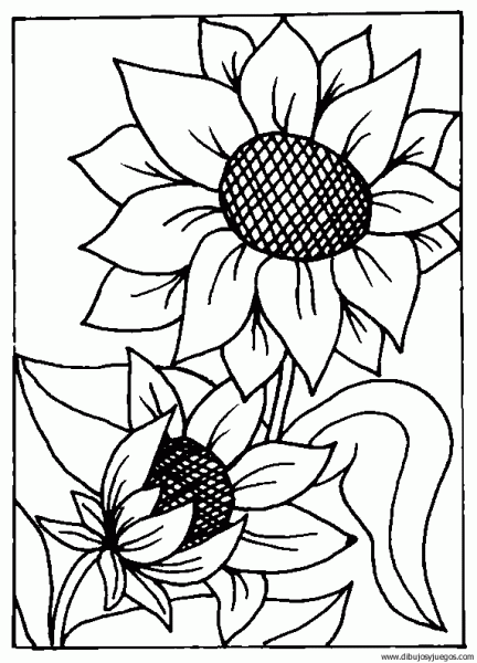 dibujo-flores-girasoles-010 | Dibujos y juegos, para pintar y colorear dibujo-flores-girasoles-010 | Dibujos y juegos, para pintar y colorear