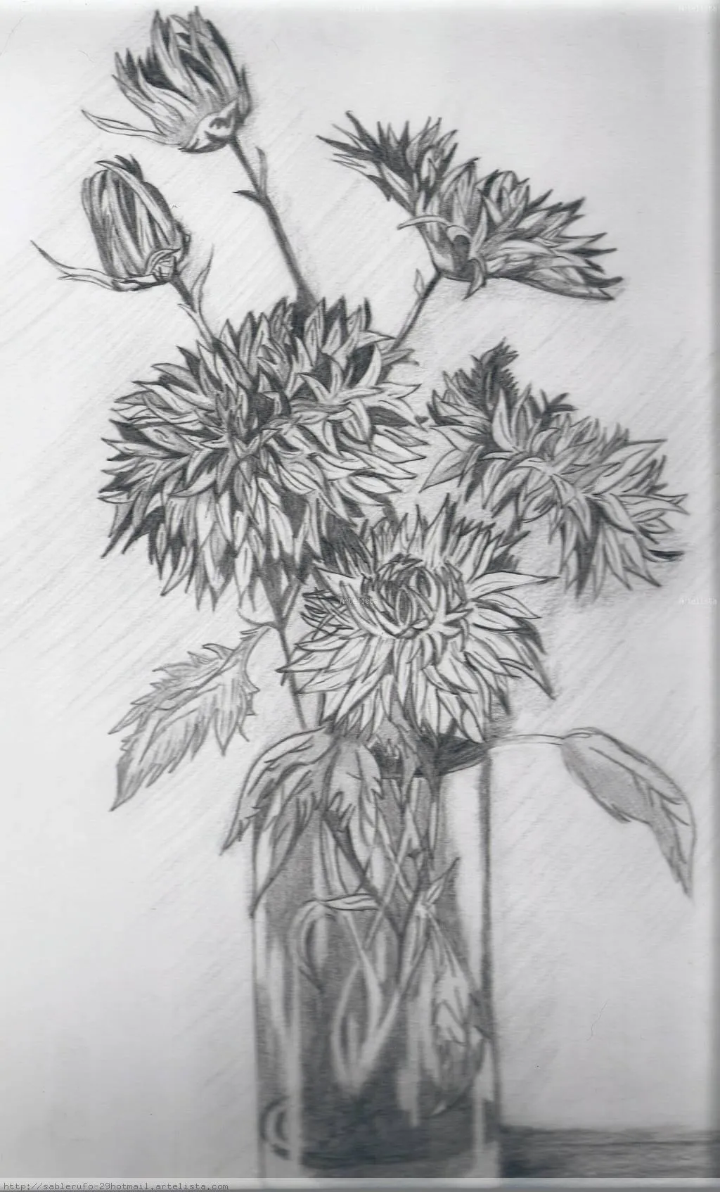 Imagenes Dibujos De Rosas A Lapiz