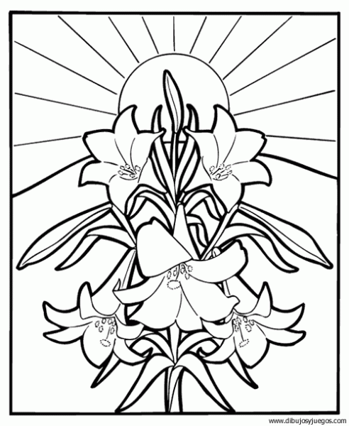 dibujo-flores-lirios-012 | Dibujos y juegos, para pintar y colorear dibujo-flores-lirios-012 | Dibujos y juegos, para pintar y colorear