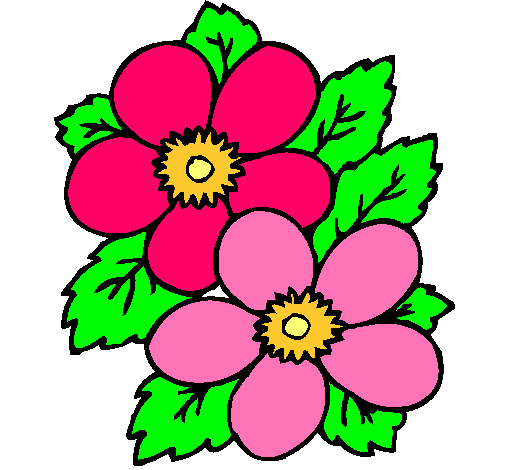 Dibujo de Flores pintado por Flores en Dibujos.net el día 24-02-11 ... Dibujo de Flores pintado por Flores en Dibujos.net el día 24-02-11 ...