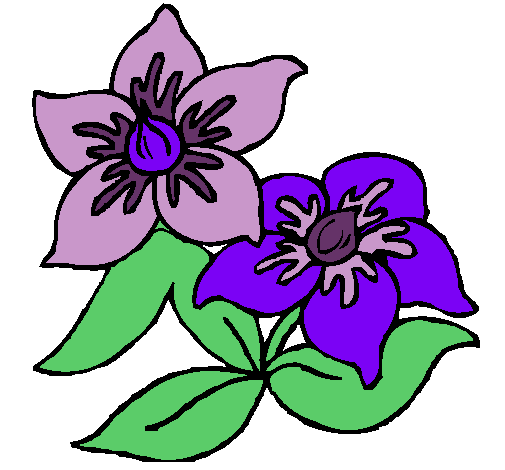 Dibujo de Flores pintado por Lilas en Dibujos.net el día 20-01-11 ... Dibujo de Flores pintado por Lilas en Dibujos.net el día 20-01-11 ...