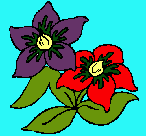 Dibujo de Flores pintado por Lilis en Dibujos.net el día 09-02-11 ... Dibujo de Flores pintado por Lilis en Dibujos.net el día 09-02-11 ...