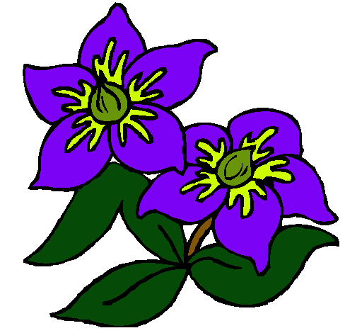 Dibujo de Flores pintado por Rouseta en Dibujos.net el día 03-03 ... Dibujo de Flores pintado por Rouseta en Dibujos.net el día 03-03 ...