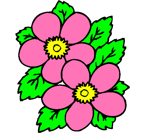 Dibujo de Flores pintado por Viridiana en Dibujos.net el día 30-12 ... Dibujo de Flores pintado por Viridiana en Dibujos.net el día 30-12 ...