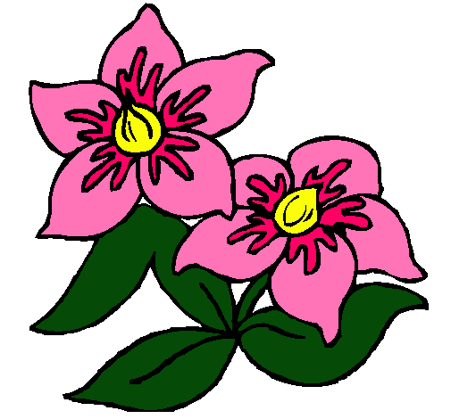 Dibujo de Flores pintado por Virtudes en Dibujos.net el día 26-02 ... Dibujo de Flores pintado por Virtudes en Dibujos.net el día 26-02 ...