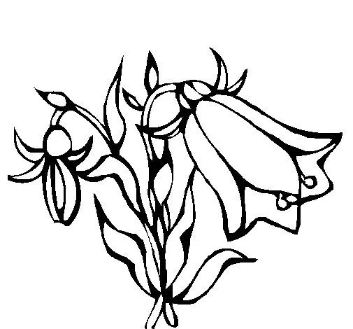 Dibujo de Flores silvestres 1 para Colorear - Dibujos.net Dibujo de Flores silvestres 1 para Colorear - Dibujos.net