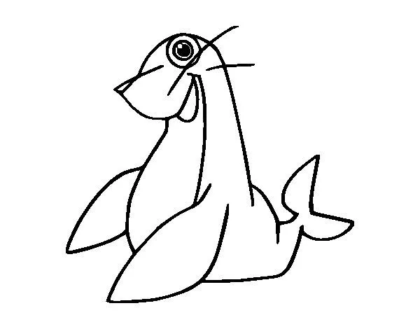 Dibujo de Foca monje para Colorear - Dibujos.net