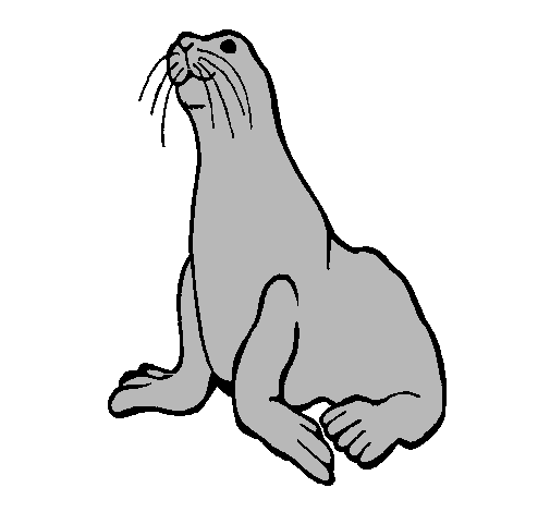 Foca dibujar - Imagui