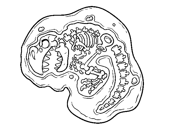 Dibujo de Fósil de dinosaurio para Colorear - Dibujos.net Dibujo de Fósil de dinosaurio para Colorear - Dibujos.net