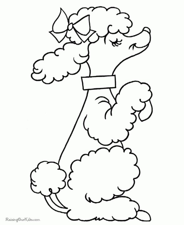 Imagenes de perro poodle para colorear - Imagui Imagenes de perro poodle para colorear - Imagui