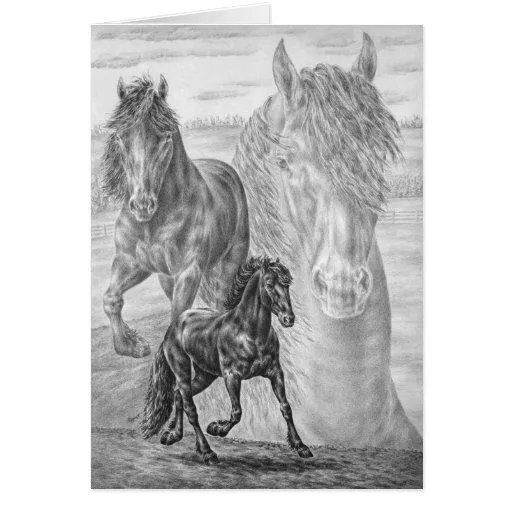 Dibujo frisio del caballo por el cisne de Kelli Felicitación | Zazzle Dibujo frisio del caballo por el cisne de Kelli Felicitación | Zazzle