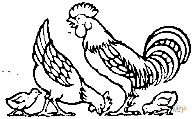 Dibujo de Gallina, gallo y los pollitos para colorear | Dibujos ... Dibujo de Gallina, gallo y los pollitos para colorear | Dibujos ...