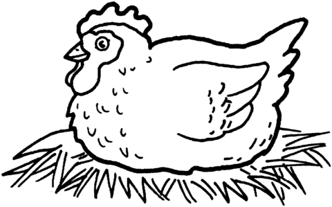 Dibujo de Gallina incubando los huevos para colorear | Dibujos ... Dibujo de Gallina incubando los huevos para colorear | Dibujos ...