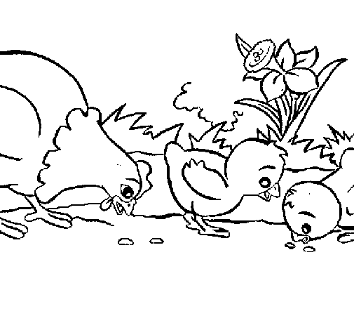 Dibujo de Gallina y pollitos para Colorear - Dibujos.net