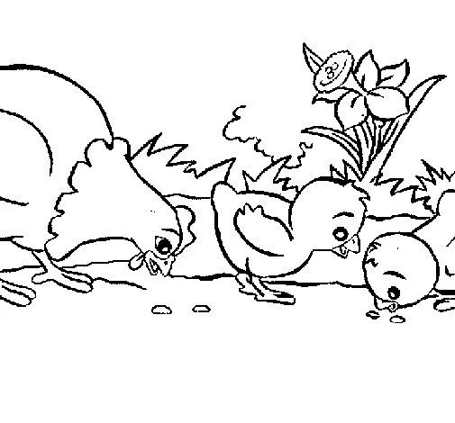 Dibujo de Gallina y pollitos para Colorear - Dibujos.net