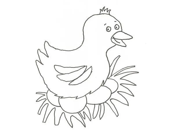 17568-4-dibujo-de-una-gallina- ...