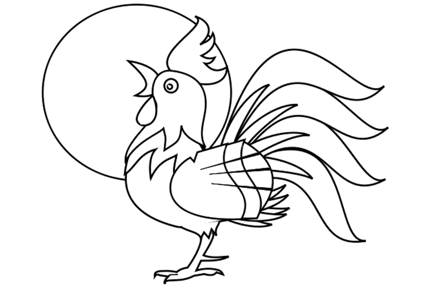 Dibujo de un gallo - Edudiver.com