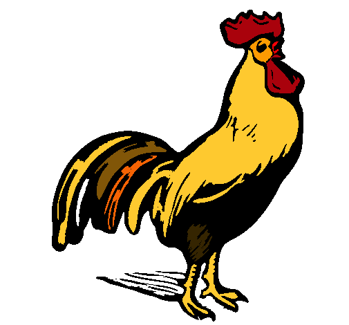 Dibujo de Gallo gallardo pintado por Gallo en Dibujos.net el día ... Dibujo de Gallo gallardo pintado por Gallo en Dibujos.net el día ...
