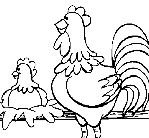 Dibujo de Gallo y gallina para Colorear