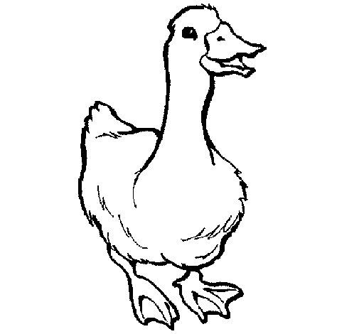 Dibujo de Ganso para Colorear