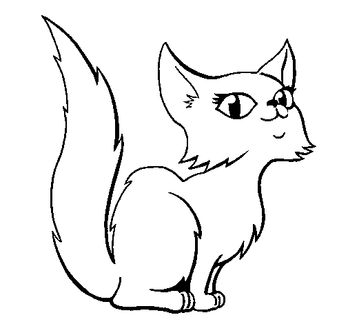 Dibujo de Gata persa para Colorear - Dibujos.net Dibujo de Gata persa para Colorear - Dibujos.net