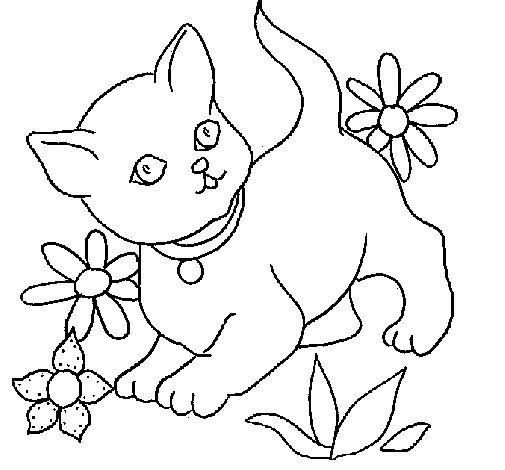 Dibujo de Gatito 1 para Colorear - Dibujos.net