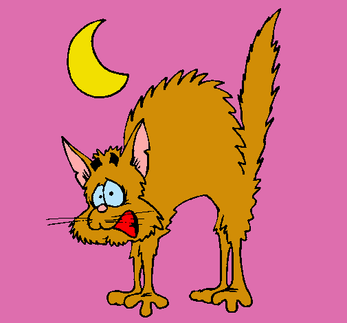 Dibujo de Gato asustado pintado por Victoria en Dibujos.net el día ... Dibujo de Gato asustado pintado por Victoria en Dibujos.net el día ...