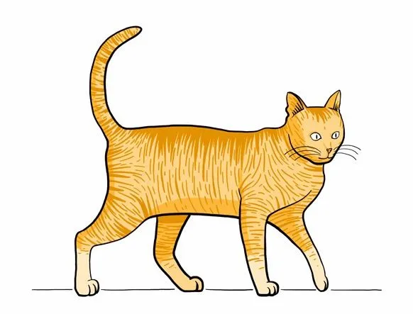 Un dibujo de un gato con color - Imagui Un dibujo de un gato con color - Imagui