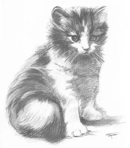 Dibujo gato a lapiz - Imagui