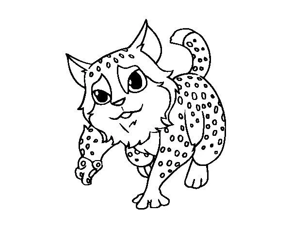 Dibujo de Gato montés para Colorear - Dibujos.net