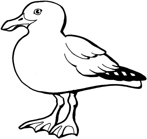 Dibujo de Gaviota de California para colorear | Dibujos para ...