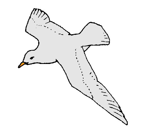 Dibujo de Gaviota pintado por Paquita en Dibujos.net el día 23-09 ... Dibujo de Gaviota pintado por Paquita en Dibujos.net el día 23-09 ...