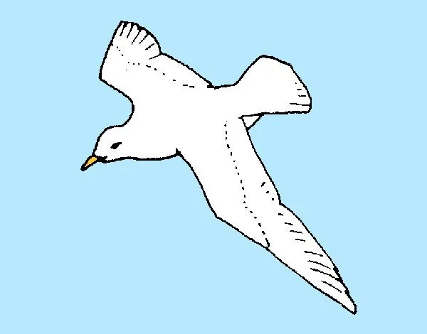 Dibujo de Gaviota pintado por Sofi2012 en Dibujos.net el día 02-10 ... Dibujo de Gaviota pintado por Sofi2012 en Dibujos.net el día 02-10 ...