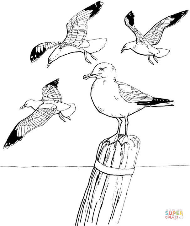 Dibujo de Gaviotas para colorear | Dibujos para colorear imprimir ... Dibujo de Gaviotas para colorear | Dibujos para colorear imprimir ...
