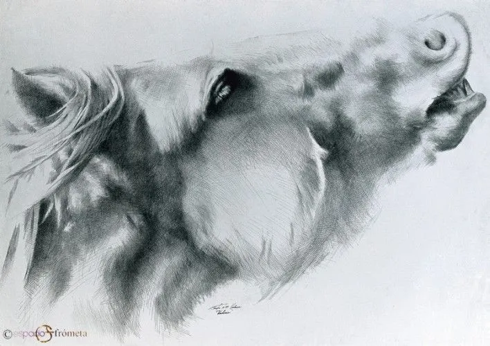 DIBUJO - Gilberto Frómeta - Contemporary Cuban Art