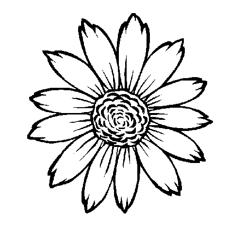 Dibujo de Girasol para Colorear - Dibujos.net